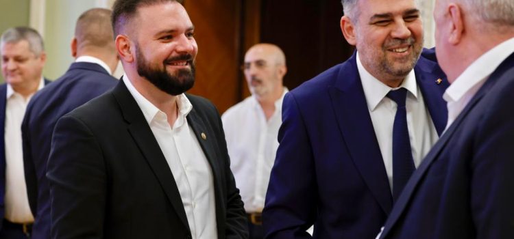 Activitatea mea în Parlamentul României